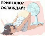 15306104228130-2d.png