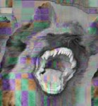 1531201059255.jpg