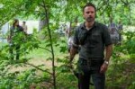 twd-1.jpg