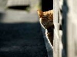 b8f8bf7c6fc7a3b3dce8c40cb47aa6f0.jpg