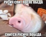 изображение.png