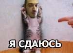 5ad16b98fa9ddec81f9.jpg