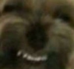 1370252801025.png