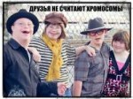 друзья.jpg