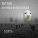 14678489229130.jpeg