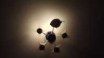 IMG20180804025429.jpg