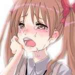 7072279p0.png