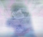 FFF2.jpg