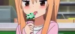 JampackedDifferentBrahmancow-sizerestricted.gif
