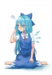 roke-(taikodon)-Anime-Art-Anime-Cirno-4649288.jpeg