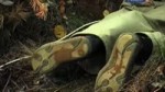 15346126431040-dvach-b-181577688.webm