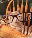 giphy (2).gif