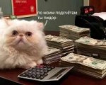15344988566570.jpg