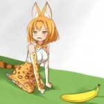 Anime-Kemono-Friends-Kaban-Serval-(Kemono-Friends)-3084697.jpeg