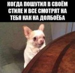 1536266979450.jpg