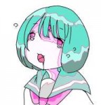 sh.jpg