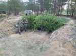 IMG-20180805-WA0074.jpg