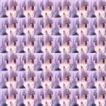  .webm