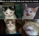 15361236680291.jpg