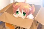 0animystery-box.jpg