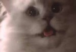 1489248220387.gif