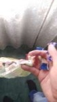 IMG20180919141119.jpeg