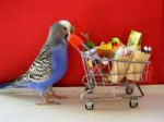 shopping-bird.jpg