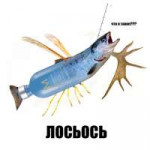 лосьось.jpg