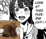 1540466158841.jpg