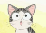 9dd.gif