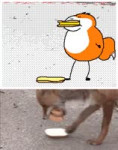 fox.mp4