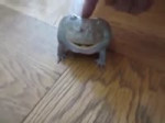 15408419739340.webm