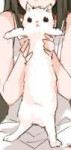 15388889987820.png