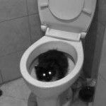 IMG20181030153048.png