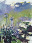 Agapanthus, 1914-17.jpg