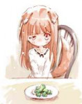 horoholospiceandwolfdrawnbytotomockingbir.jpg