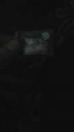 IMG20180706202148672.jpg
