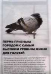 изображение.png