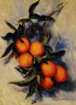 Branch of Orange Bearing Fruit, 1884.jpeg
