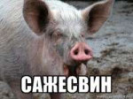 ea157dfa72aa638d18e9fb93d2f6868e.png