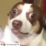  .mp4