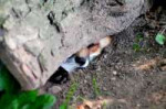 DsaWUNsWkAAu9A2.jpg