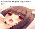 1159CF84-36BE-4C93-91E4-C4620D3934A3.jpeg