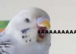  .JPG
