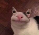 15437909488923.png