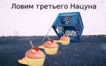 12323123.png
