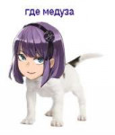 Безымянный.png