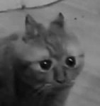 .png