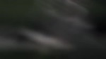15586353334420.mp4