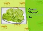 15561692244810.jpg
